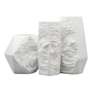 Large Fossil Relief Bisque Porcelain Vases by Manfred Frey for AK Kaiser, Germany, 1970s, Set of 3 For Sale