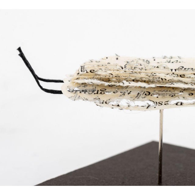 Early 21st Century Doug Beube Book Bug Paper and Steel Pin Sculpture For Sale - Image 5 of 9