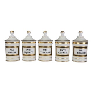 Antique Continental Opaline Glass Apothecary Jars, 1880, Set of 5 For Sale