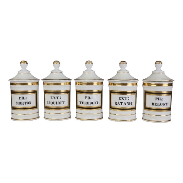 Antique Continental Opaline Glass Apothecary Jars, 1880, Set of 5 For Sale