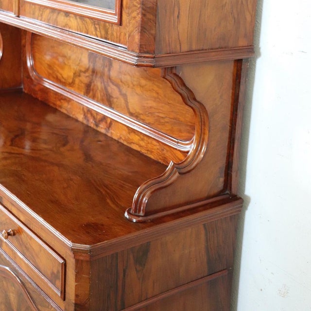 Brown Antique Cupboard in Walnut Briar, 1800s For Sale - Image 8 of 18