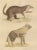The Brown-Tailed Mongoose and the Brown Hyena, 1845, Paper For Sale - Image 3 of 6