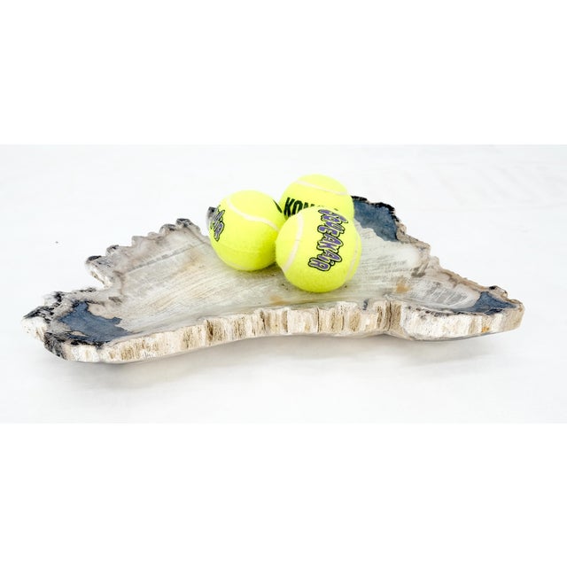 Petrified Wood Antarctica Shape Solid Black & Tanl Bowl Dish Large Plate Ashtray