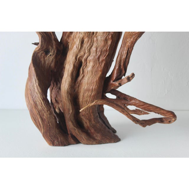 Wood Mid 20th Century Monumental Driftwood Table Lamp Coastal Rustic For Sale - Image 7 of 16