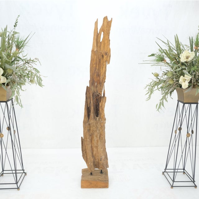 Mid-Century Modern Large Standing 6.5' Tall Abstract Driftwood Sculpture on Wooden Block Base For Sale - Image 3 of 9