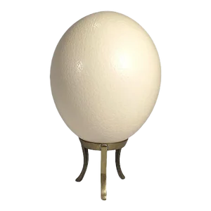 Vintage South African Ostrich Egg on Brass Stand