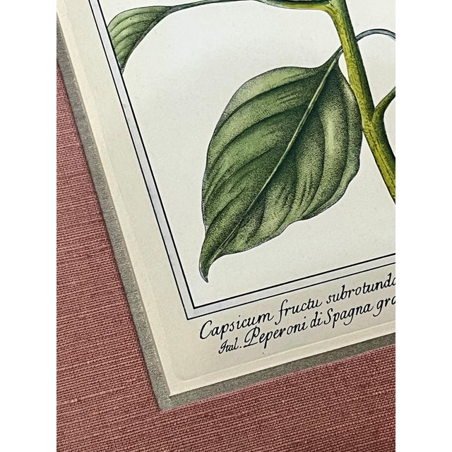 Pair Vintage Custom Framed Botanical Giclee Prints With Double Linen Matte For Sale - Image 4 of 18