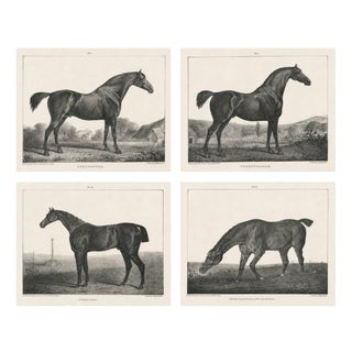 After Chalon, Equestrian Illustrations, Lithographs, 1840, Set of 4 For Sale