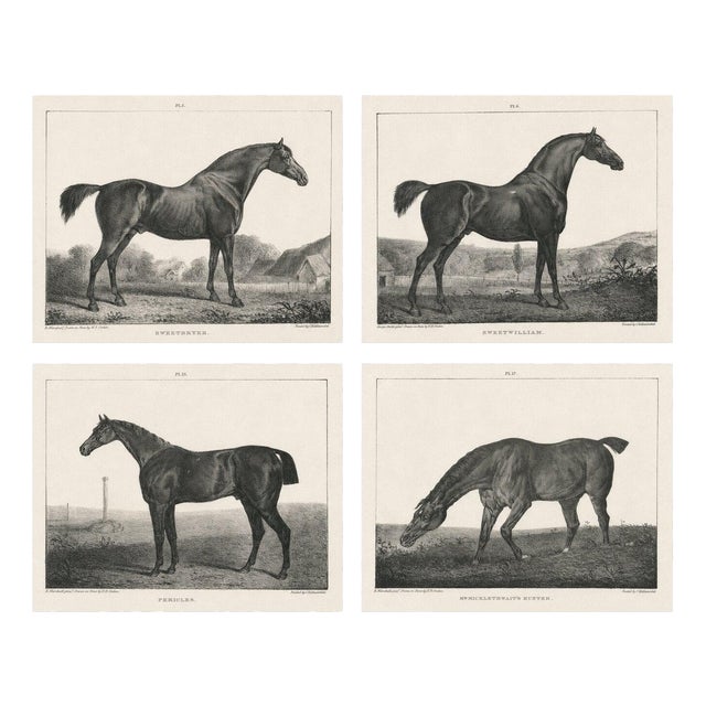 After Chalon, Equestrian Illustrations, Lithographs, 1840, Set of 4 For Sale