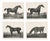 After Chalon, Equestrian Illustrations, Lithographs, 1840, Set of 4 For Sale