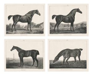 After Chalon, Equestrian Illustrations, Lithographs, 1840, Set of 4