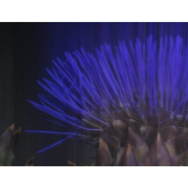 This large 40" x 30" abstract photographic print is by designer/artist/photographer Joseph Fountain, created in 2015. From...