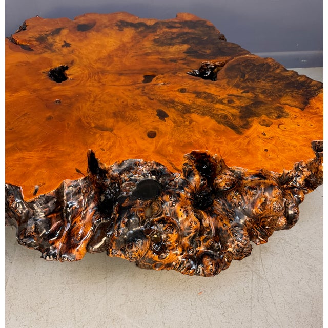 Vintage 1970s California Redwood Burl Live Edge Coffee Table on Redwood Stump Base For Sale - Image 12 of 15