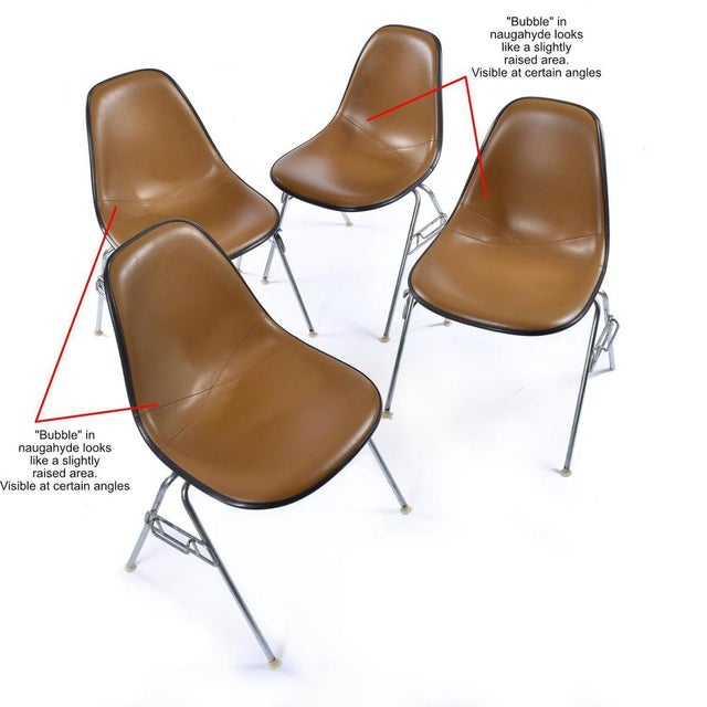 Stacking Shell Chairs with Brown Naugahyde Pads by Herman Miller for Eames, Set of 6 For Sale - Image 17 of 18