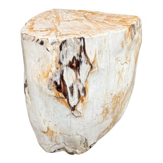 Andrianna Shamaris Multifaceted Modern Organic Petrified Wood Side Table For Sale