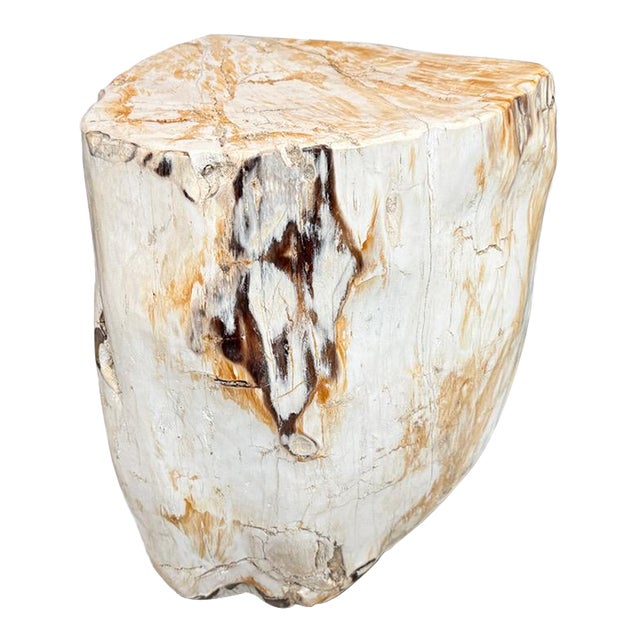 Andrianna Shamaris Multifaceted Modern Organic Petrified Wood Side Table For Sale
