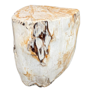 Andrianna Shamaris Multifaceted Modern Organic Petrified Wood Side Table