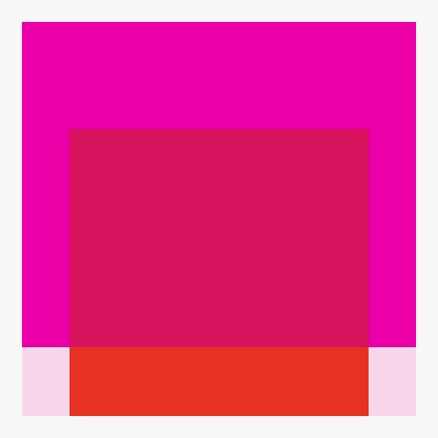 Contemporary The Interaction of Deep Hot Pink and Red on Light Pink Fine Art Print 30" X 40" by Liz Roache For Sale - Image 3 of 5