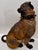 Large 19th Century English Cold-Painted Terracotta Bulldog Figure With Glass Eyes For Sale - Image 10 of 17