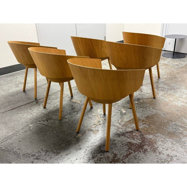2000 - 2009 Stefan Diez for E15 Ch04 Houdini Oak + Leather Armchairs, Set of Six For Sale - Image 5 of 12