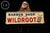 c. 1955; A-M Sign Co. - Lynchburg, VA Embossed tin advertising sign for Wildroot hair products, featuring bold red and...