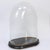 Napoleon III Glass Dome For Sale - Image 5 of 6