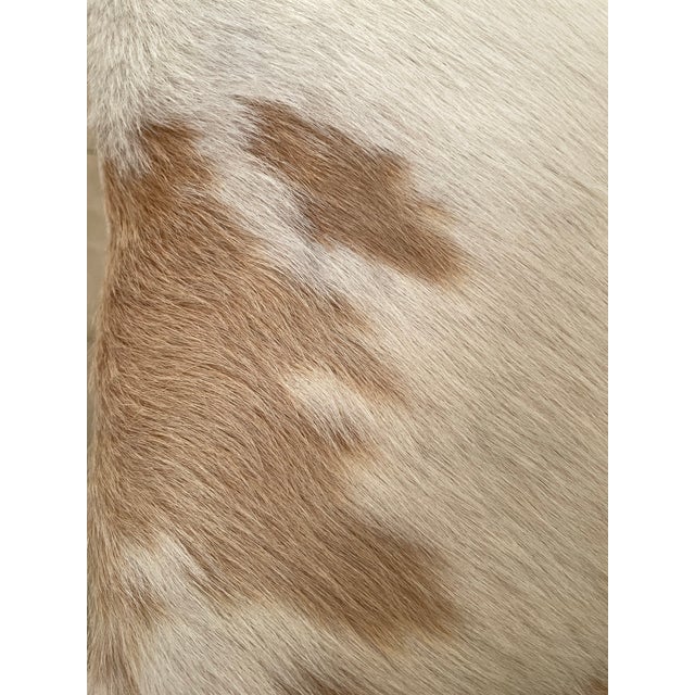 Pair of Le-Coterie Hair-on-Hide Cowhide Pillows, Down Filled – Ralph Lauren Equestrian Style For Sale - Image 4 of 8