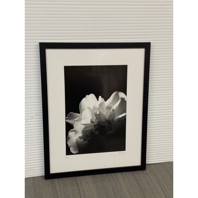Jess Johnston Photograph, Framed For Sale - Image 11 of 12