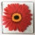 Retro Handpainted Red Zinnia Flower Glass Coasters, Signed For Sale - Image 4 of 7