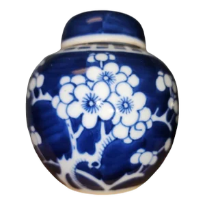 19th Century Chinese Kangxi Mark Prunus Covered Ginger Jar With Stopper