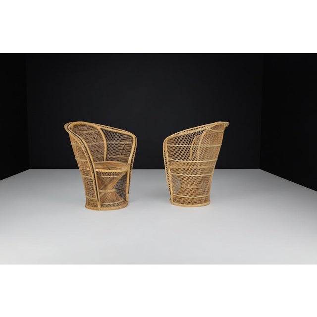 Bohemian Wicker Emmanuelle Peacock Chairs, France, 1950s, Set of 2 For Sale - Image 9 of 10