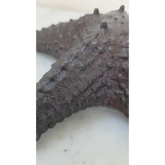Late 20th Century Maitland-Smith Dark Patina Starfish Tabletop Sculpture For Sale - Image 9 of 17