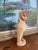 Abstract Hand-Carved Mid 20th Century Abstract Wooden Figure Sculpture in Natural Finish. For Sale - Image 3 of 10