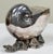 1880s English Silver Plated Nautilus Spoon Warmer For Sale - Image 9 of 11