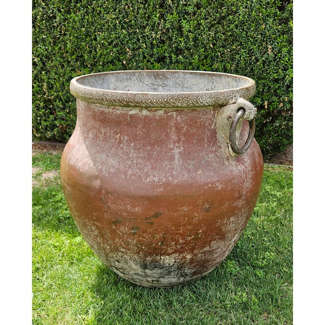 Metal Mid 20th Century Bird Handle Raja Water Pot From India For Sale - Image 7 of 10
