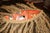Tribal Hand-Painted Tribal-Style Wooden Mask With Natural Fiber Fringe – 18” For Sale - Image 3 of 4
