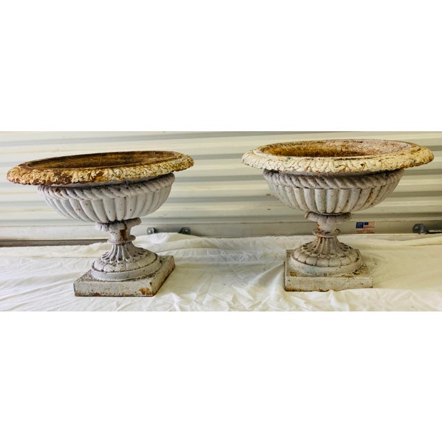Large Pair Antique White & Rust Neoclassical Iron Garden Planters Early 20th Century For Sale - Image 4 of 10