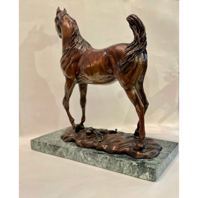 Original Bronze Horse Sculpture by Janel Maher - Titled “The Gift” 6 of 50 - Signed For Sale - Image 10 of 12