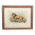 Antique Lion Botanical Print in Walnut Frame For Sale
