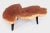 Modern Lychee Living Edge Coffee Table 91 For Sale In Greensboro - Image 6 of 6