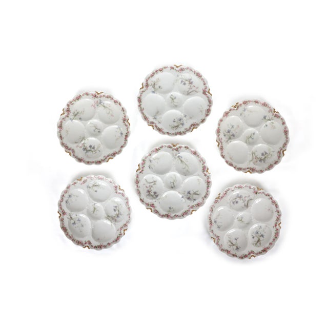 Ceramic Antique Haviland & Co. Limoges Oyster Plates - Set of 6 For Sale - Image 7 of 14
