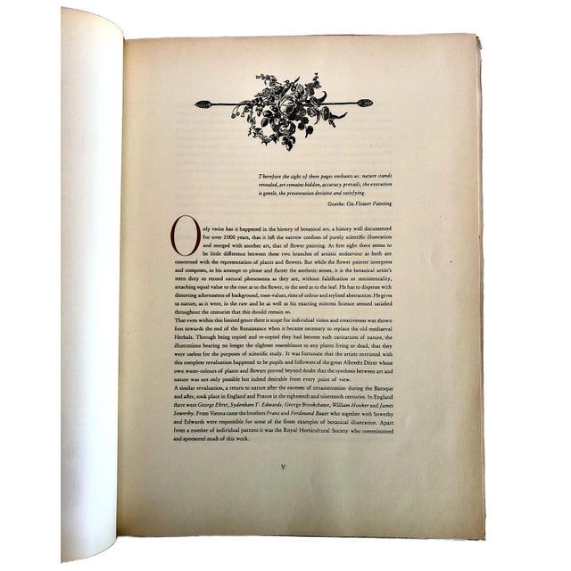 Folio Book of Pierre-Joseph Redouté’s “Fruits and Flowers” by Eva Mannering For Sale - Image 4 of 10
