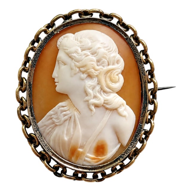 Antique Victorian Cameo Shell Brooch Greek Young Lady For Sale
