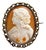 Antique Victorian Cameo Shell Brooch Greek Young Lady For Sale