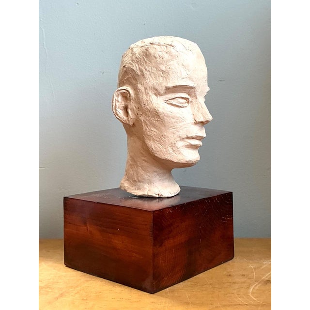 Vintage Plaster Bust of Man For Sale - Image 16 of 18