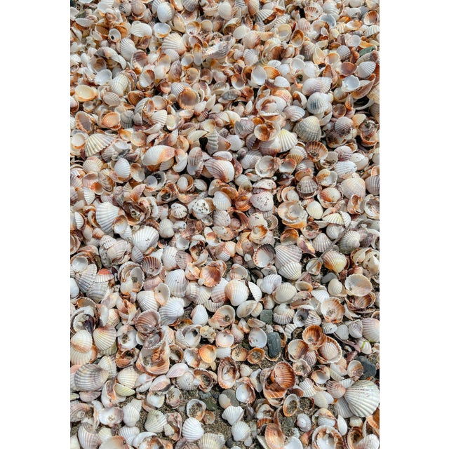 Beautiful, sophisticated, and elegant handmade seashell mirror. Dimensions 17" x 26". Neutral color scheme in brown,...