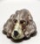 Antique Cold Painted Vienna Bronze Hound Dog Note Clip For Sale - Image 4 of 11