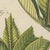 Paper Bertuch, Zedoary and Grains of Paradise Spice Plants, 1805, Print For Sale - Image 7 of 12