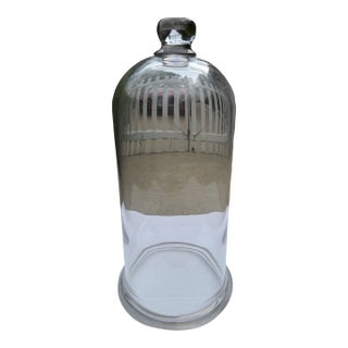 Early 20th Century Glass Cloche For Sale