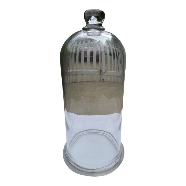 Early 20th Century Glass Cloche For Sale